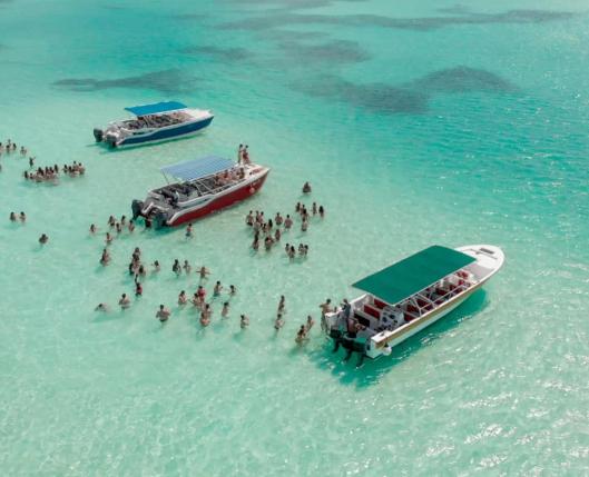 Isla Saona & Boat Party